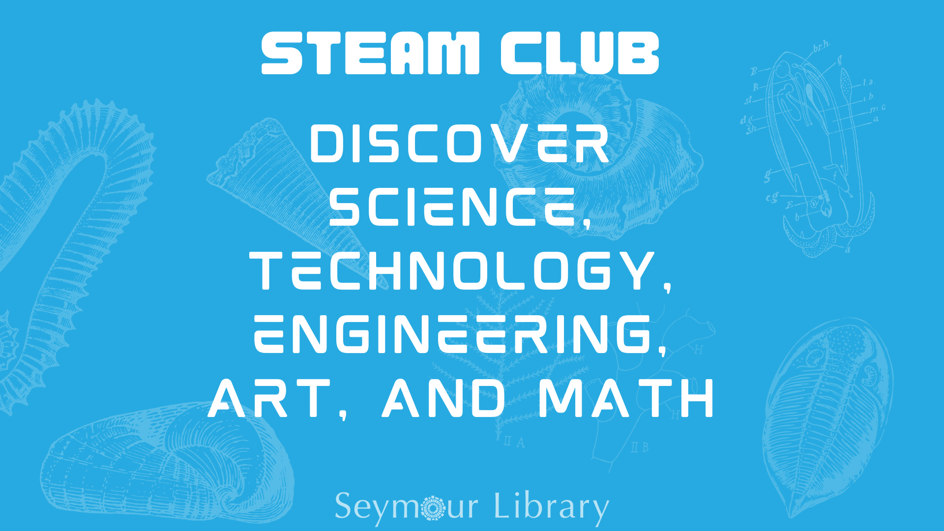 STEAM Club