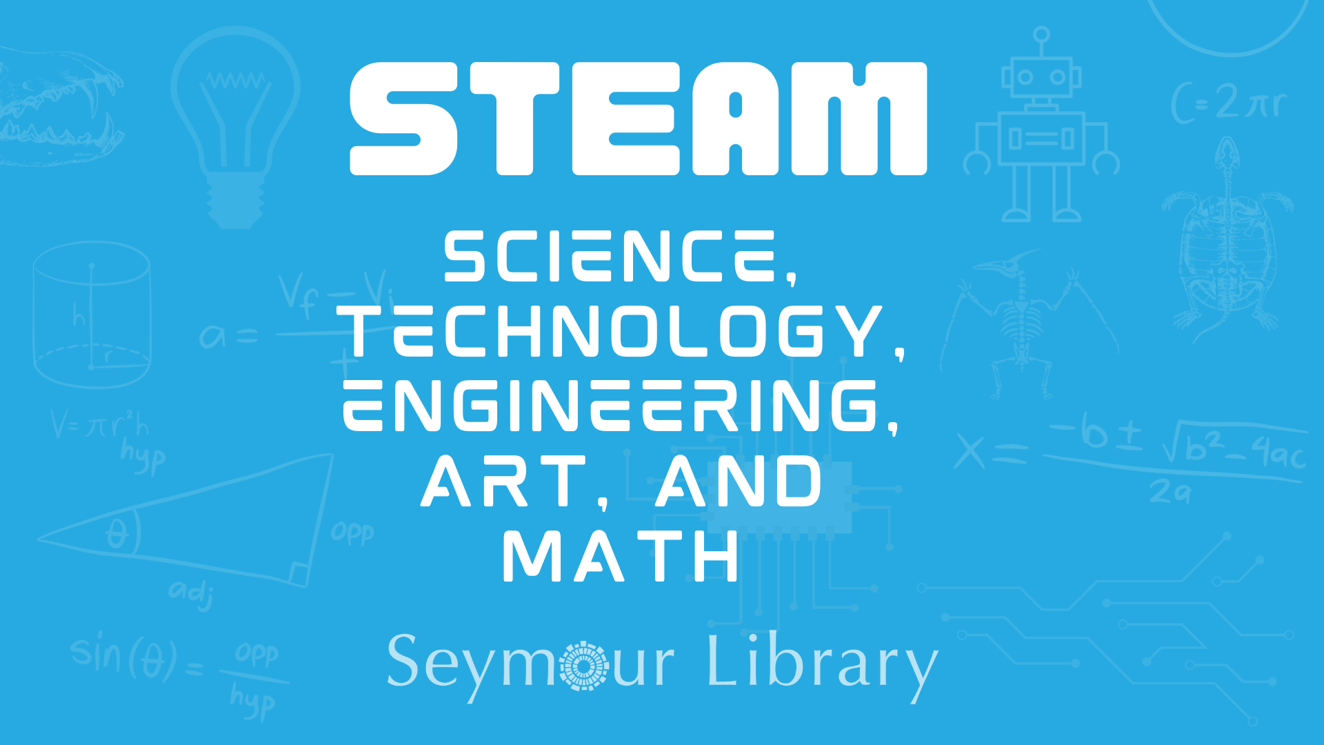 STEAM: Bones and No Bones - Seymour Library