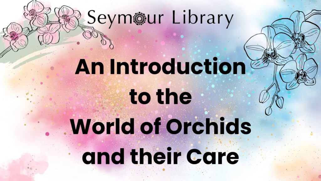 An Introduction to the World of Orchids and their Care -- graphic with a variety of colors and illustrations of orchids
