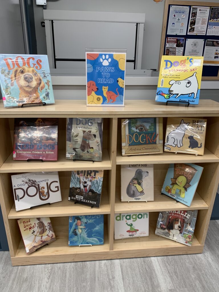 Paws to Read Display at Seymour Library