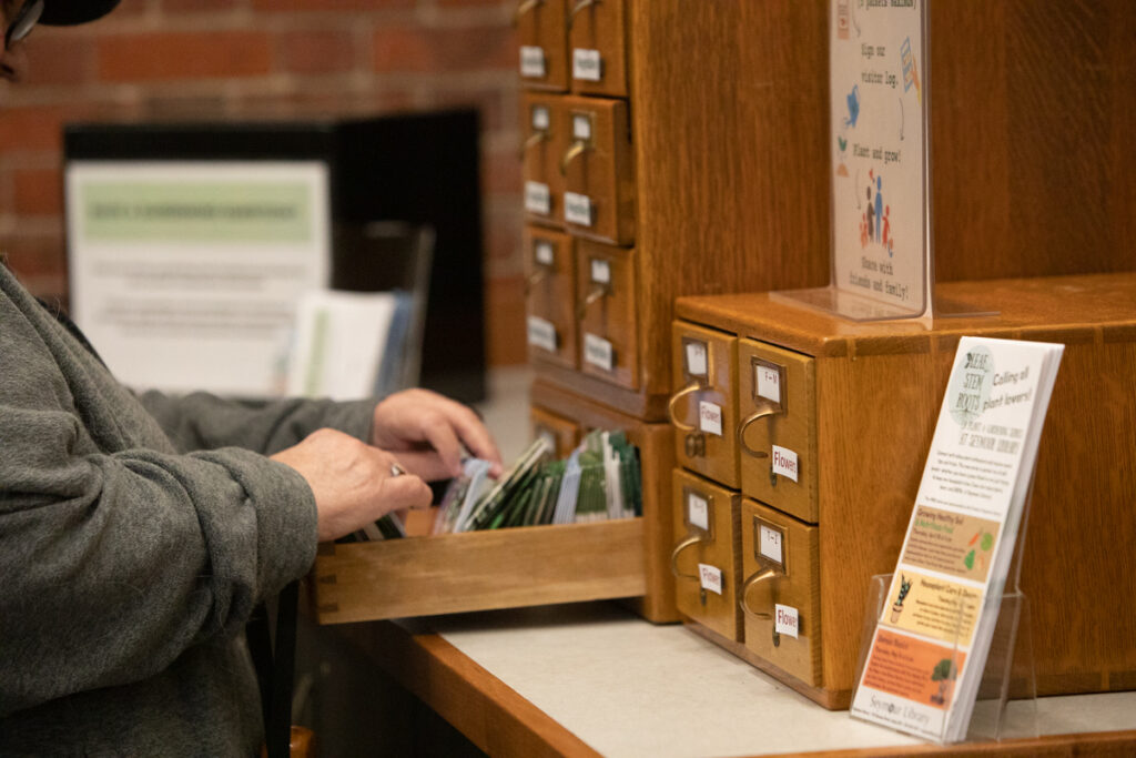 Seed Library -- person looking through the selection of seeds